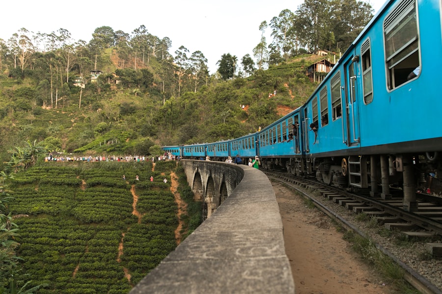Blue train at Nine Arches Bridge, Ella — photo by Egle Sidaraviciute on Unsplash